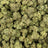 Super Candy bulk THCA flower — Plain Jane 1 lb