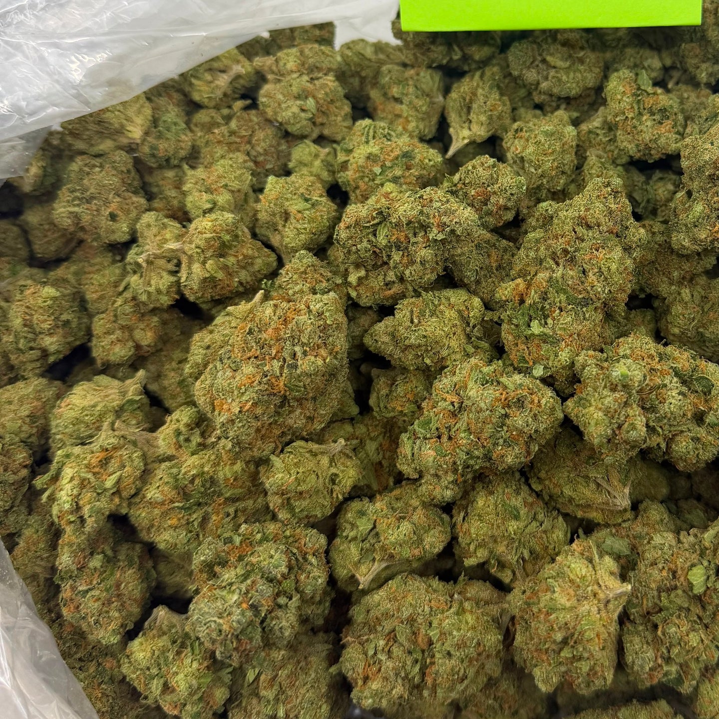 Super Jack bulk THCA flower — Plain Jane 1 lb