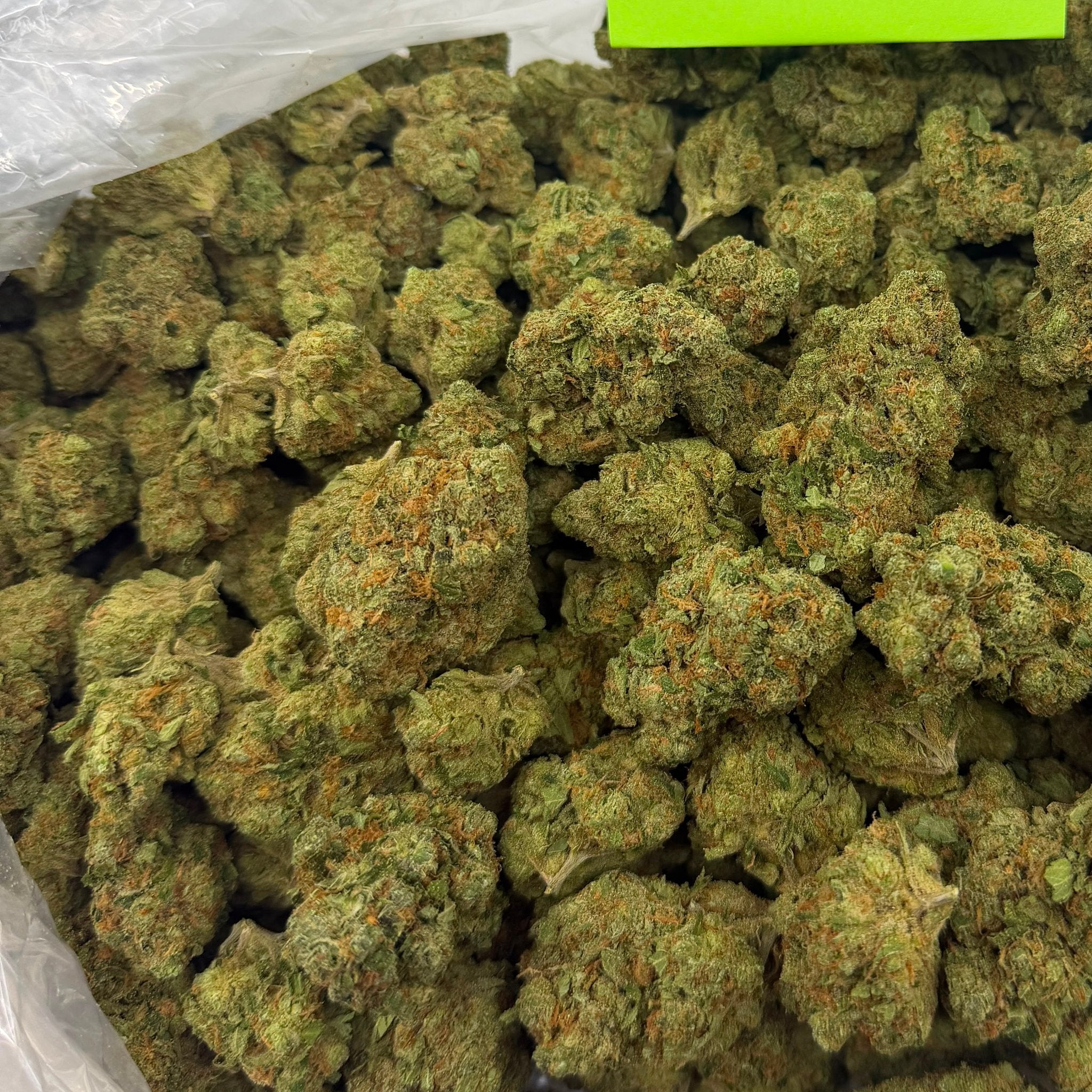 Super Jack bulk THCA flower — Plain Jane 1 lb