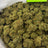 Super Jack bulk THCA flower — Plain Jane 1 lb