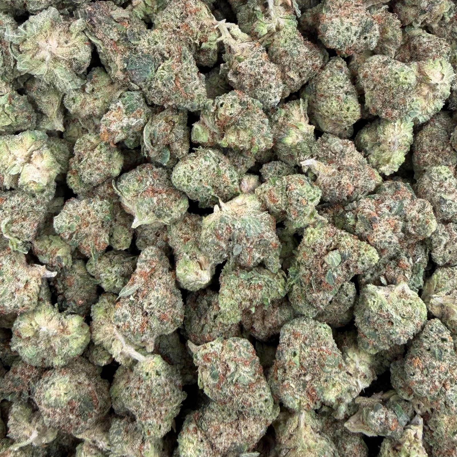 Super Jack bulk THCA flower — Plain Jane 1 lb
