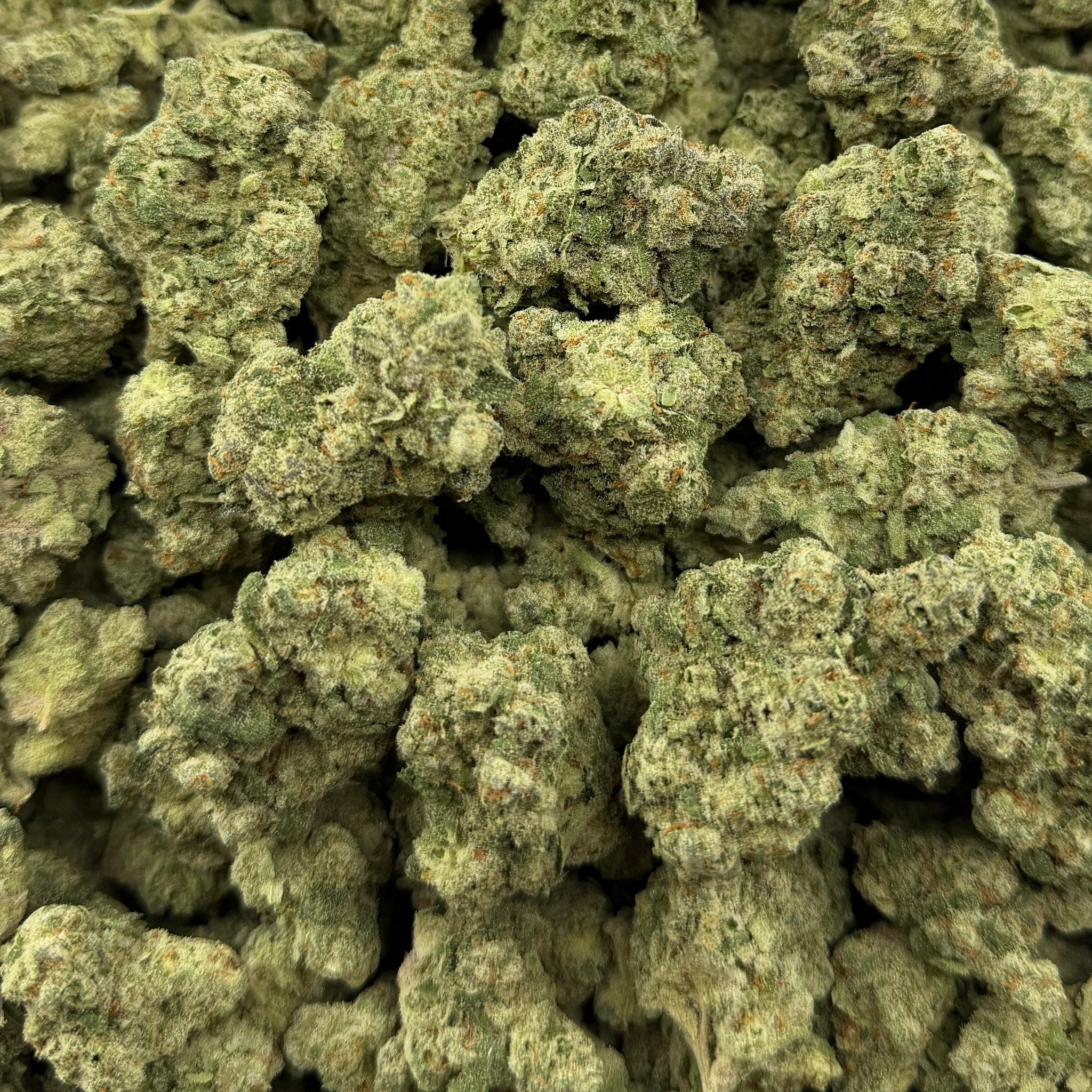 Super Jack bulk THCA flower — Plain Jane 1 lb