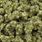 Super Jack bulk THCA flower — Plain Jane 1 lb