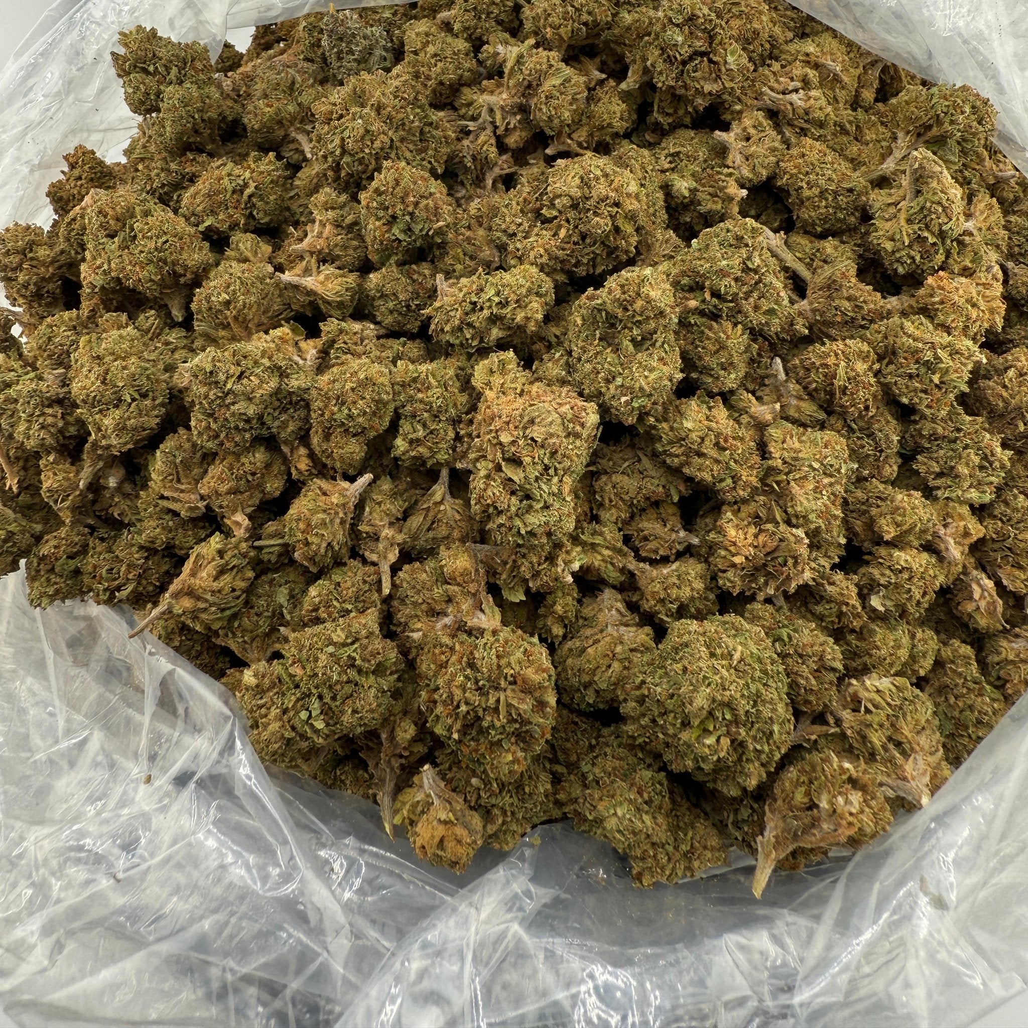 Super Runtz bulk THCA flower — Plain Jane 1 lb