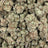 Supreme Runtz bulk THCA flower — Plain Jane 1 lb