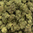 Taffy Twist bulk THCA flower — Plain Jane 1 lb