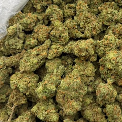 Tangerine Dream bulk THCA flower — Plain Jane 1 lb