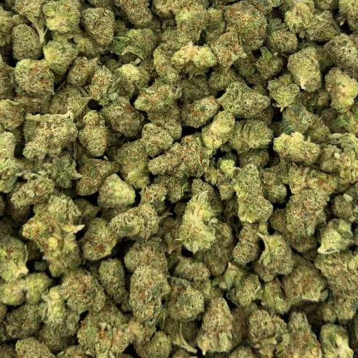 Tangerine Dreams bulk THCA flower — Plain Jane 1 lb