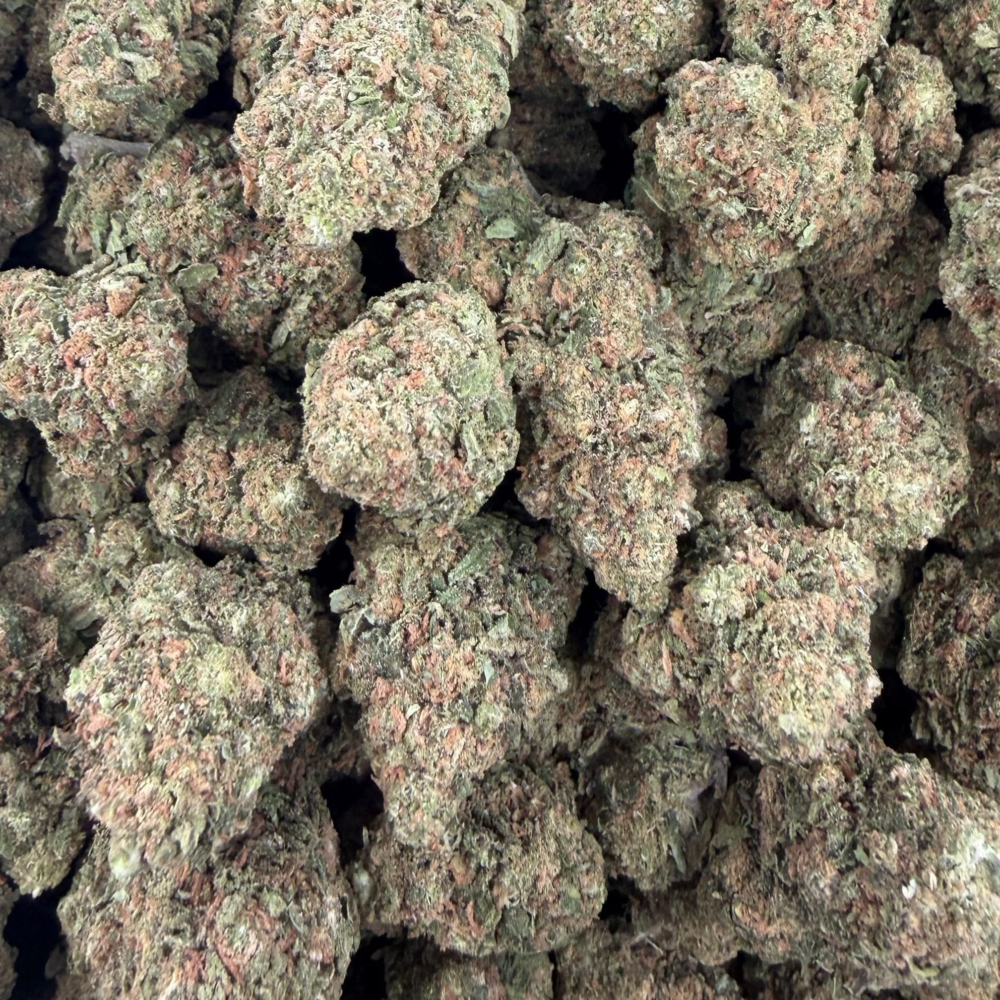 Tangerine Dreams bulk THCA flower — Plain Jane 1 lb