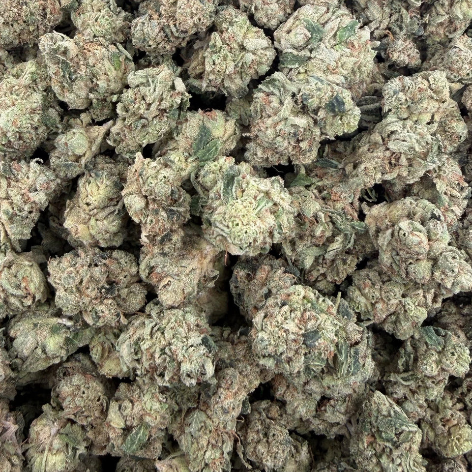 Tangerine Tree (Value Indoor) – Bulk THCA Flower 1 lb