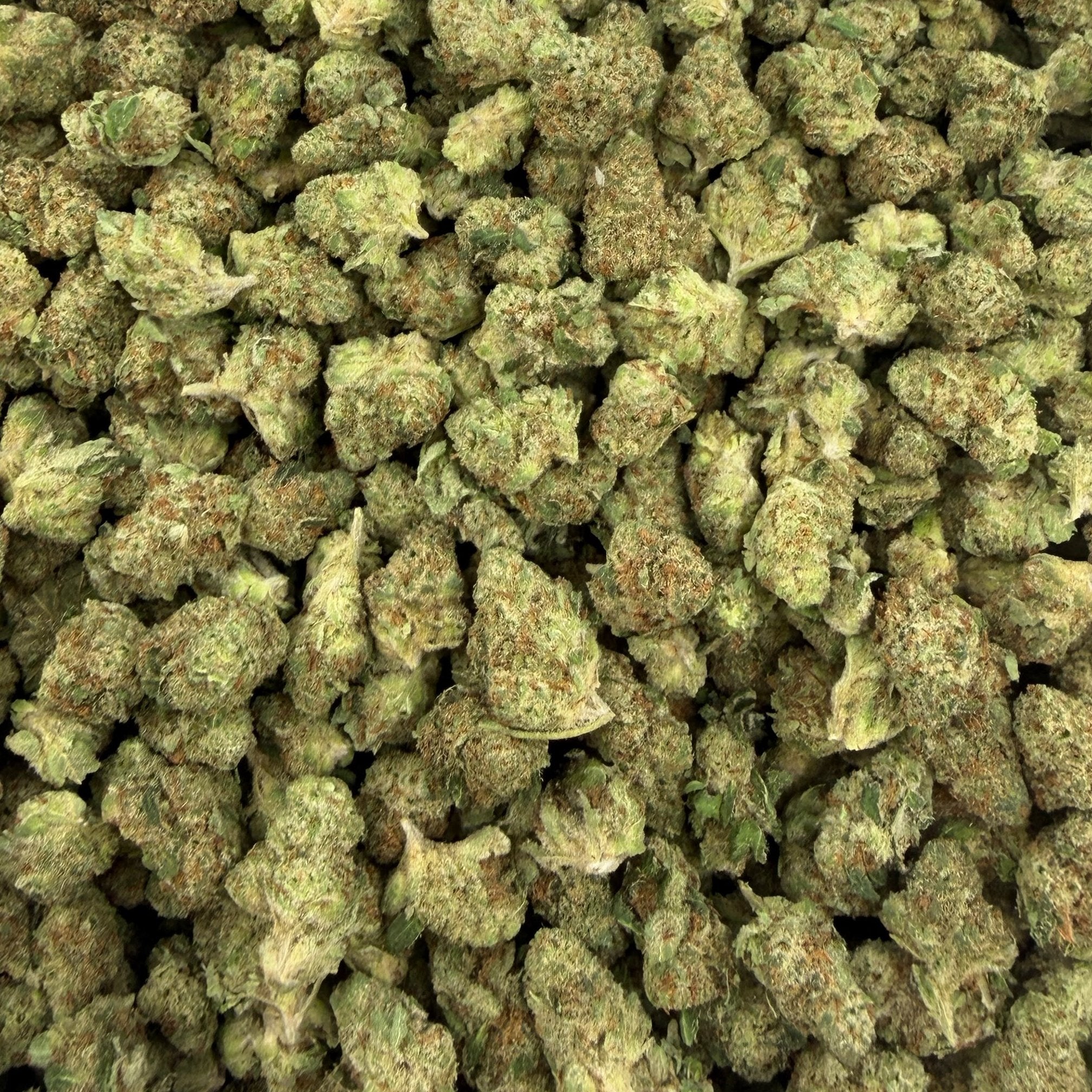 Tangerine Tree bulk THCA flower — Plain Jane 1 lb