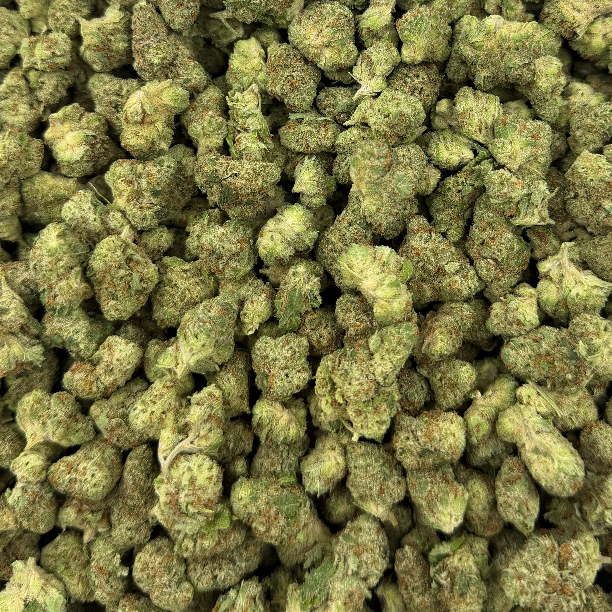 Tangerine Tree bulk THCA flower — Plain Jane 1 lb