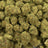 Think Tank bulk THCA flower — Plain Jane 1 lb