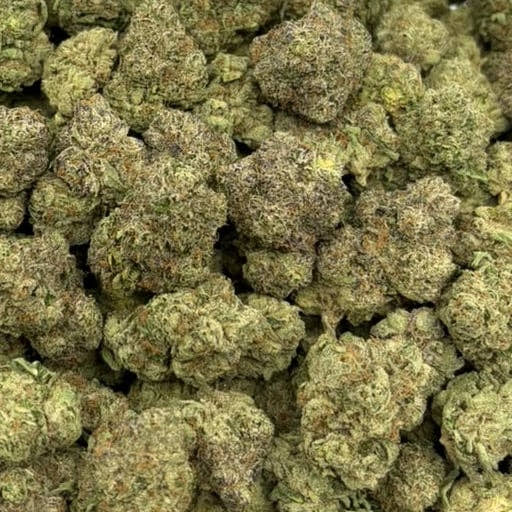 Tokyo Drift bulk THCA flower — Plain Jane 1 lb