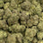 Tokyo Drift bulk THCA flower — Plain Jane 1 lb