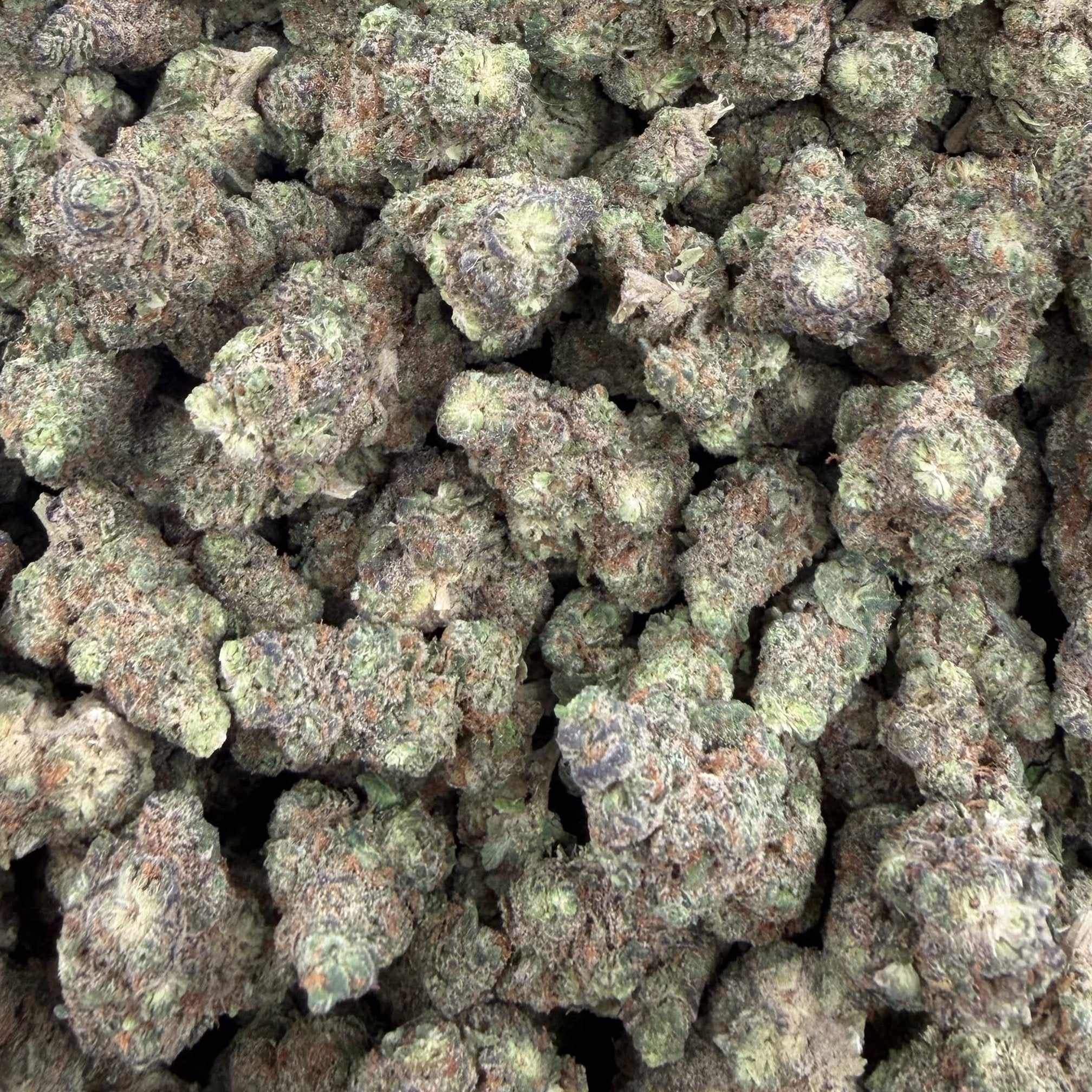 Toronja bulk THCA flower — Plain Jane 1 lb