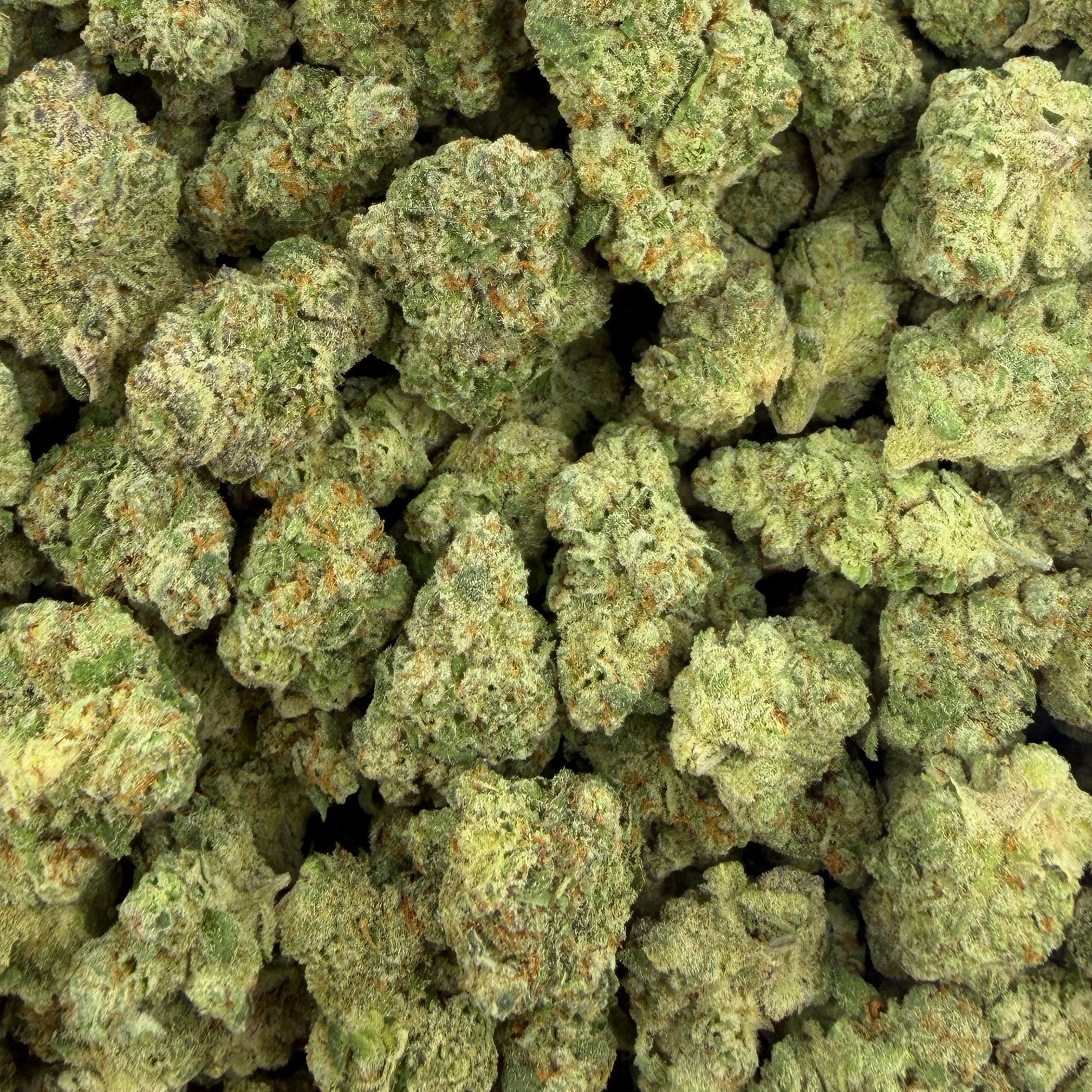 Tote Candy bulk THCA flower — Plain Jane 1 lb