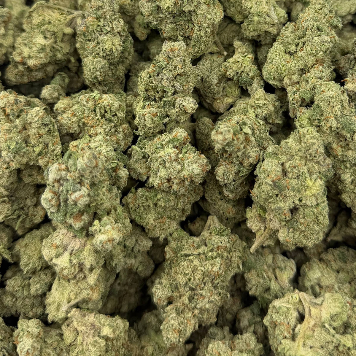 Tote Candy bulk THCA flower — Plain Jane 1 lb