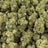 Tote Candy bulk THCA flower — Plain Jane 1 lb