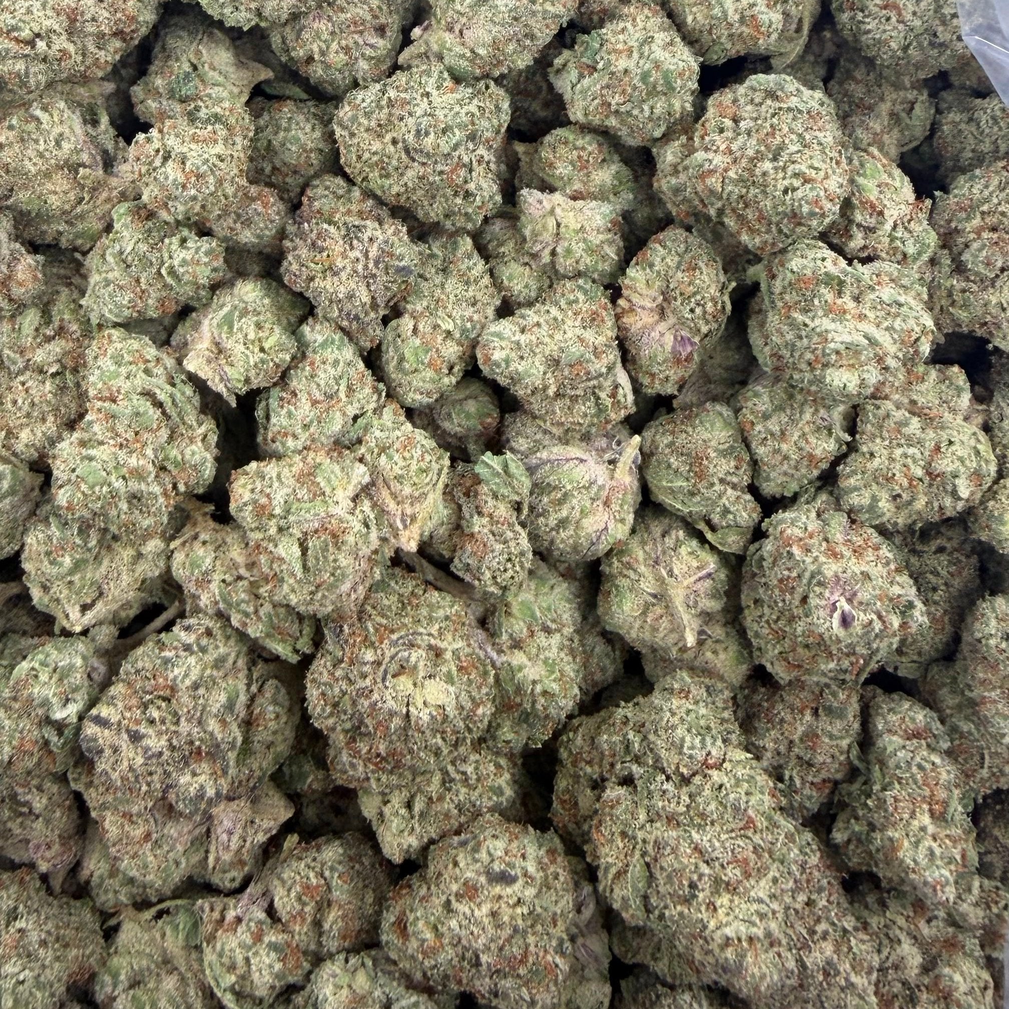 Trainwreck bulk THCA flower — Plain Jane 1 lb