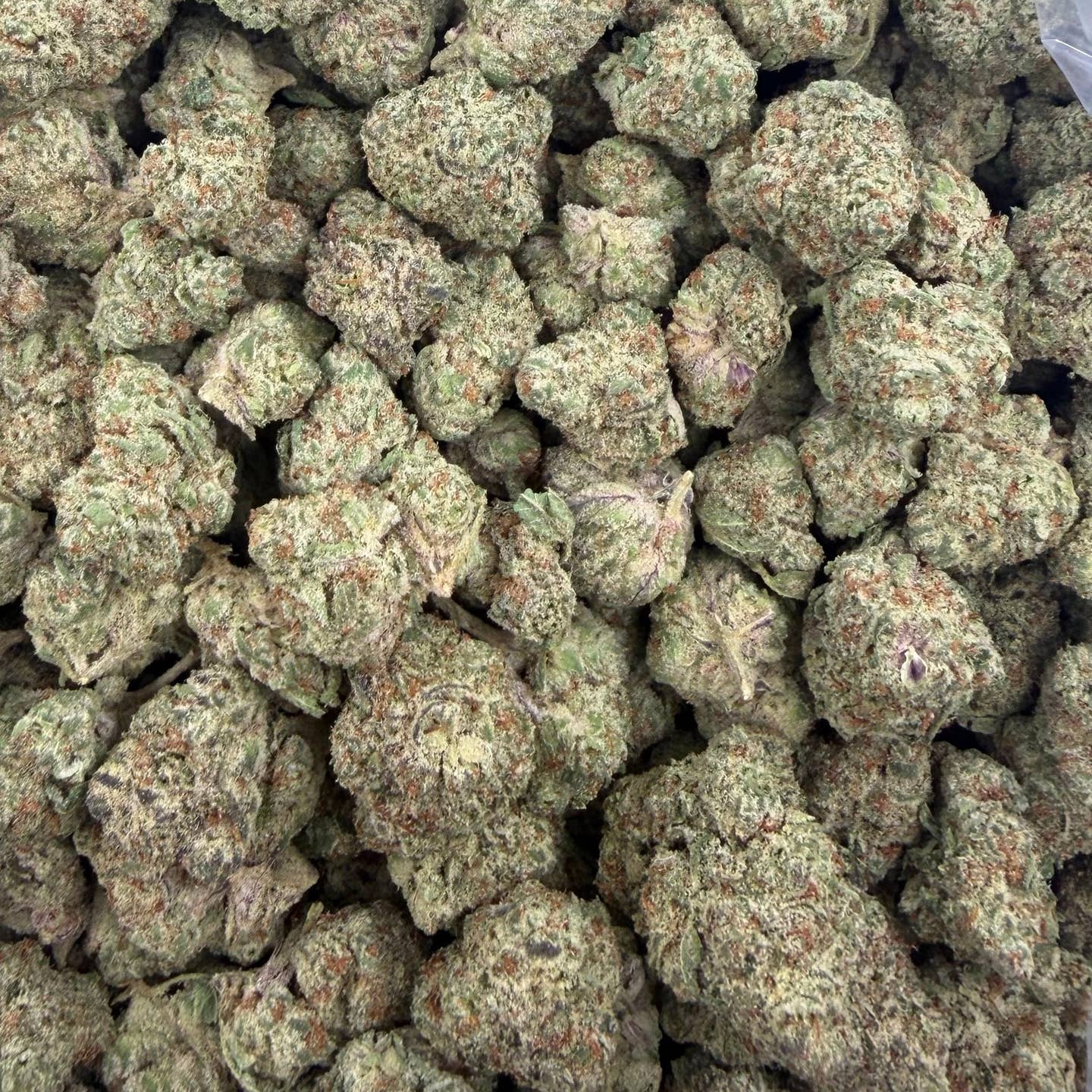 Trainwreck bulk THCA flower — Plain Jane 1 lb