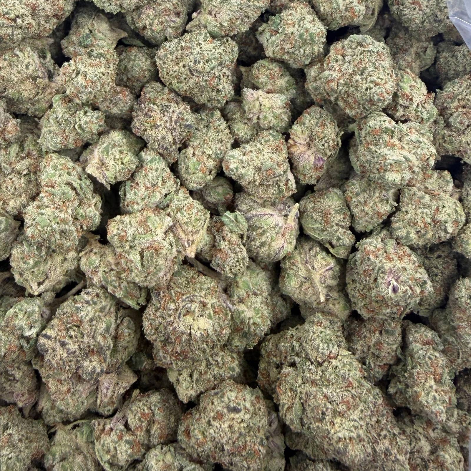 Trainwreck bulk THCA flower — Plain Jane 1 lb