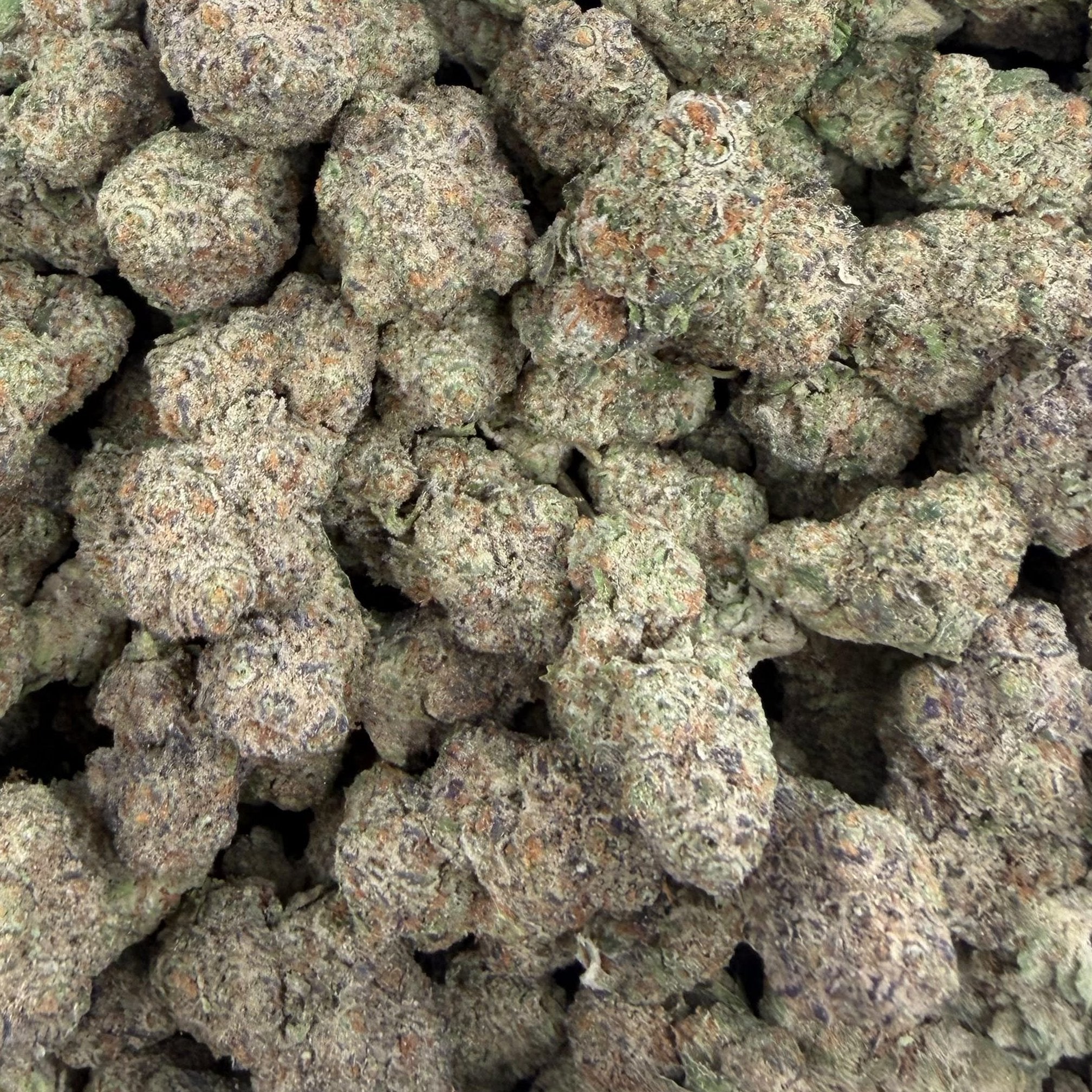 Trainwreck bulk THCA flower — Plain Jane 1 lb