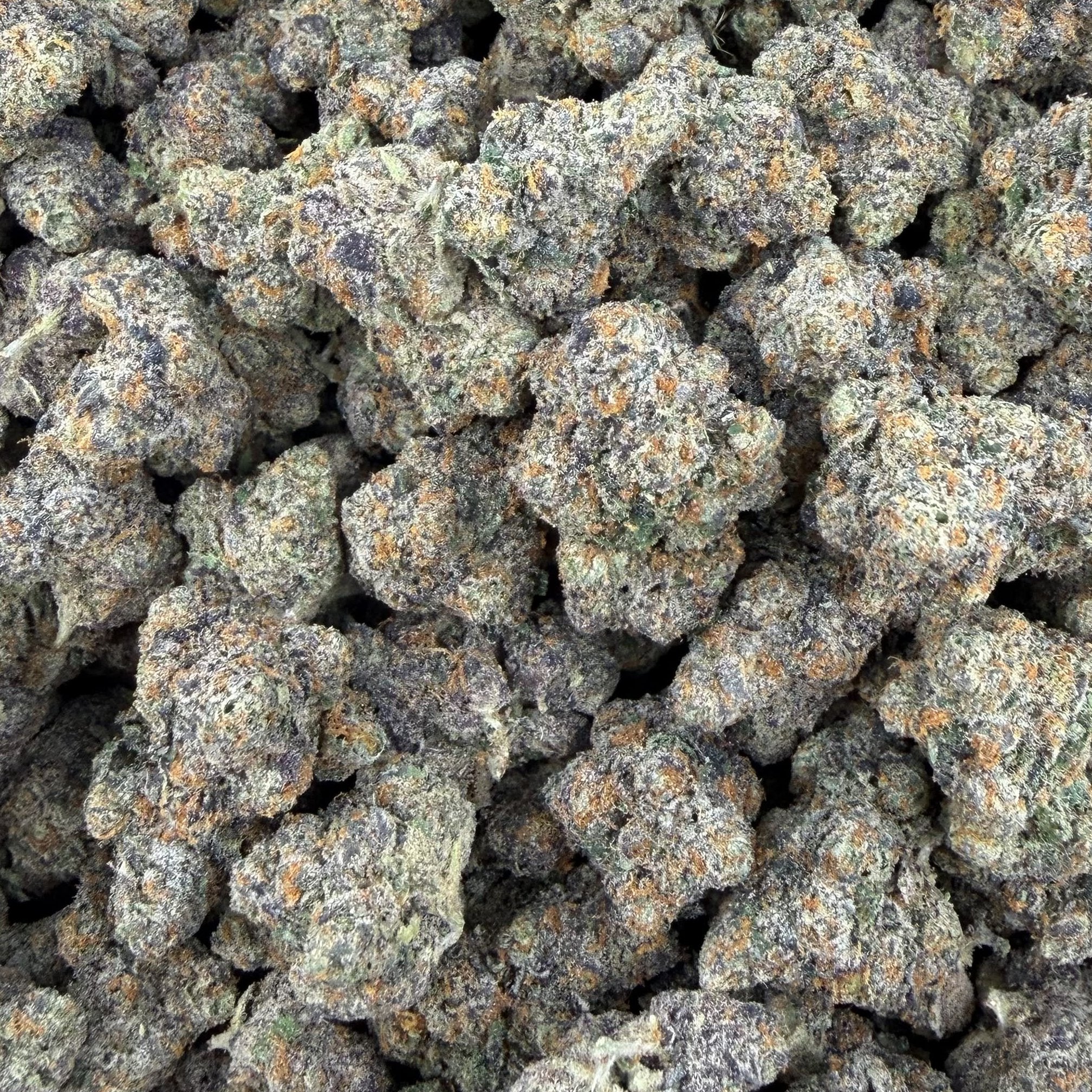 Trap Fuel bulk THCA flower — Plain Jane 1 lb