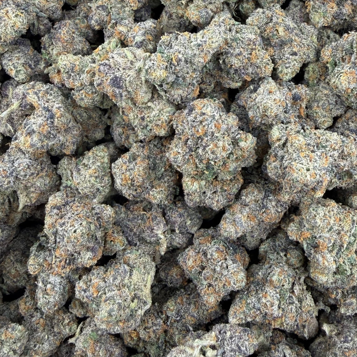 Trap Fuel bulk THCA flower — Plain Jane 1 lb