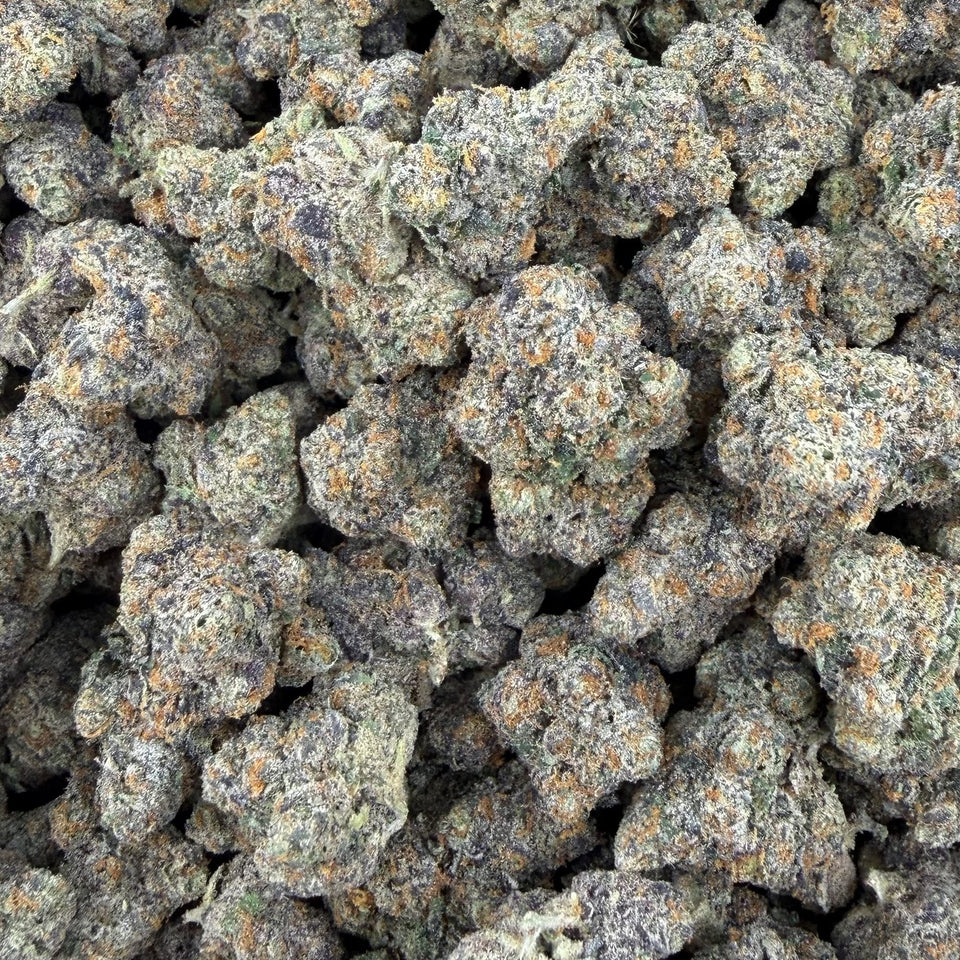 Trap Fuel (Boutique Exotic) – Bulk THCA Flower 1 lb