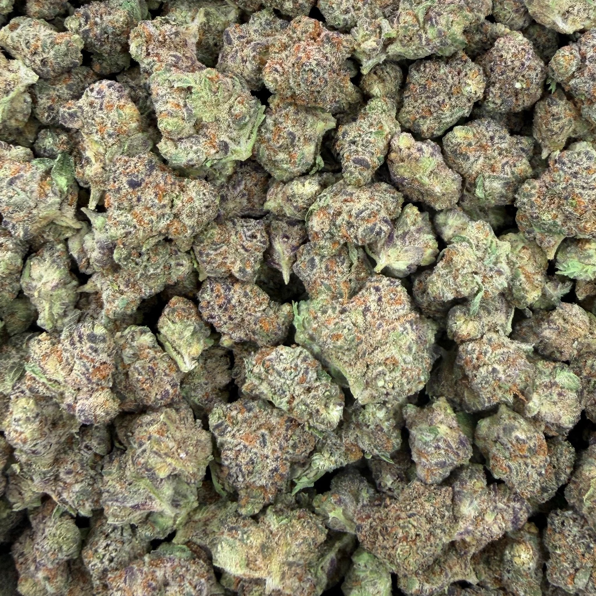 Trap Queen bulk THCA flower — Plain Jane 1 lb