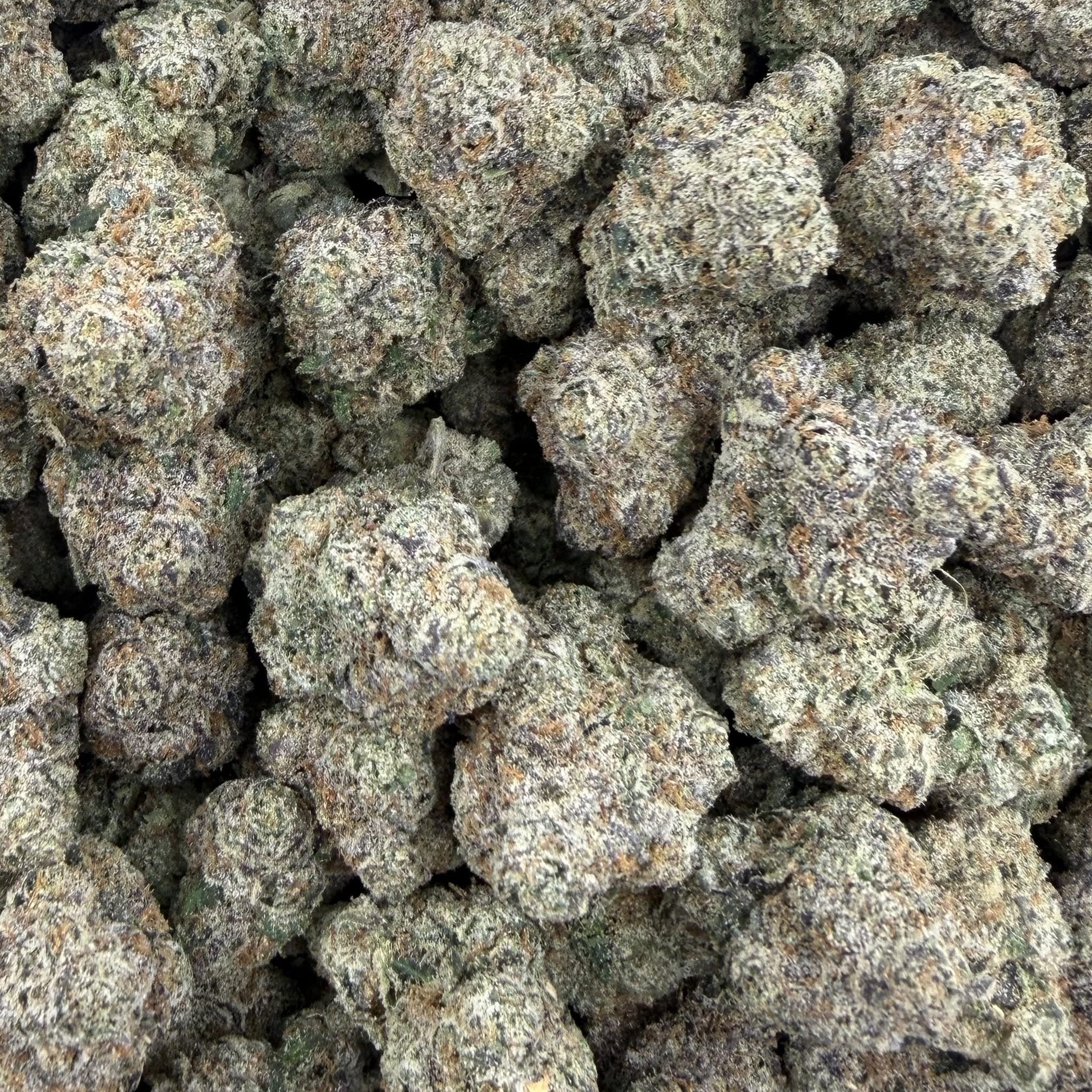 Trap Queen bulk THCA flower — Plain Jane 1 lb