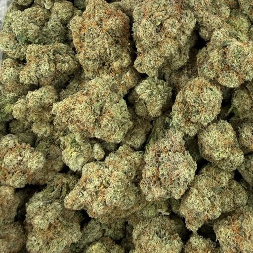 Trap Sour bulk THCA flower — Plain Jane 1 lb
