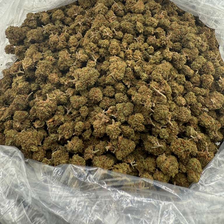 Triple OG bulk THCA flower — Plain Jane 1 lb