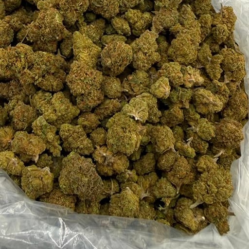 Triple OG bulk THCA flower — Plain Jane 1 lb