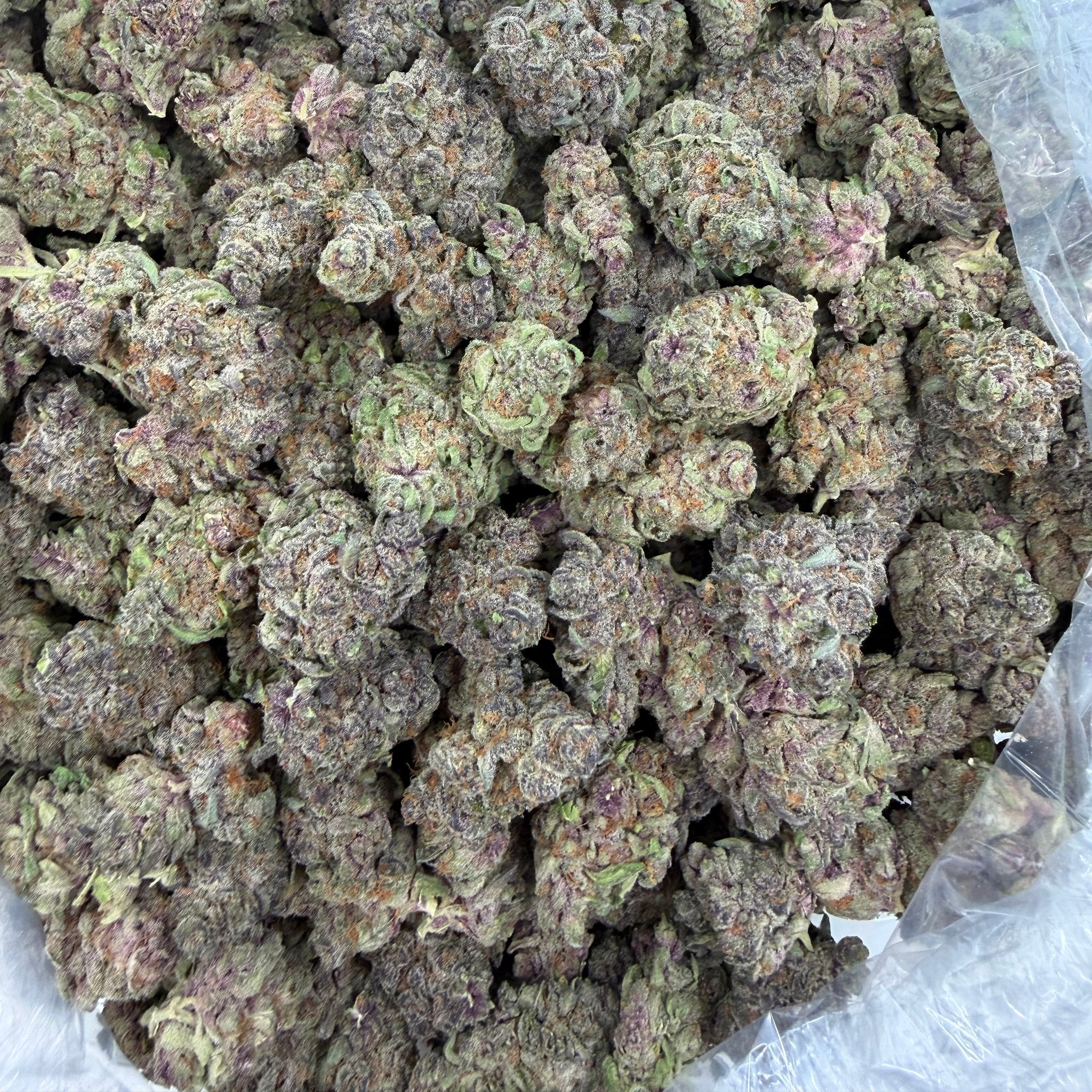 Trop Cherry bulk THCA flower — Plain Jane 1 lb