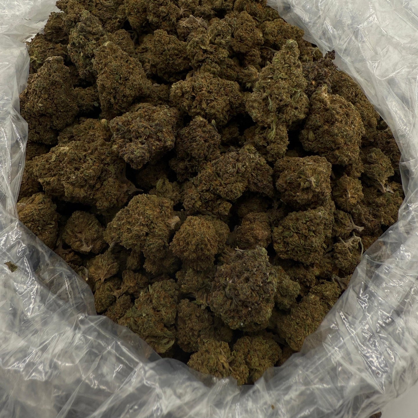 Unicorn Glitter bulk THCA flower — Plain Jane 1 lb