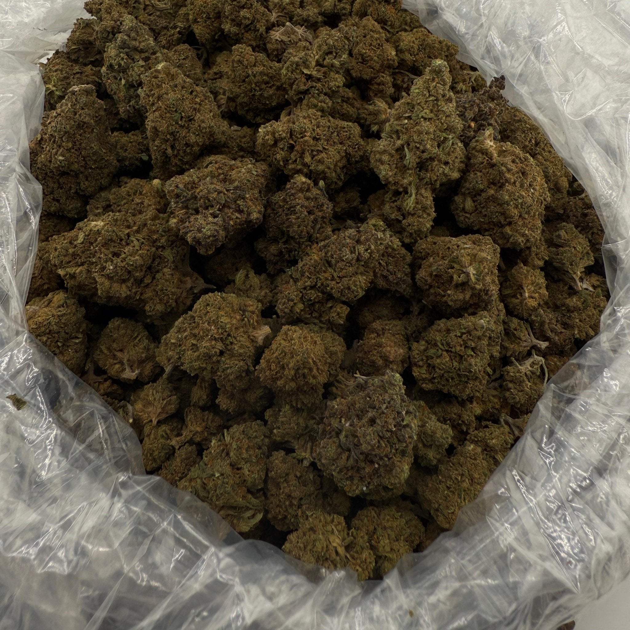Unicorn Glitter bulk THCA flower — Plain Jane 1 lb