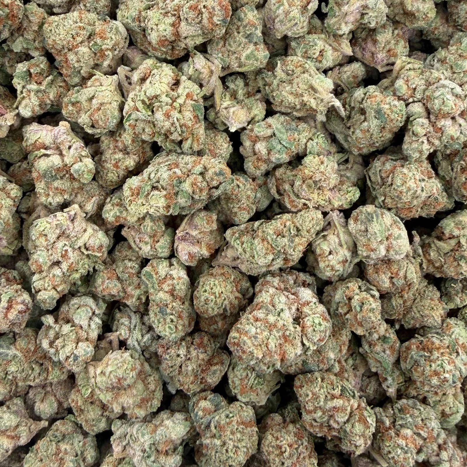 Unicorn Glitter bulk THCA flower — Plain Jane 1 lb