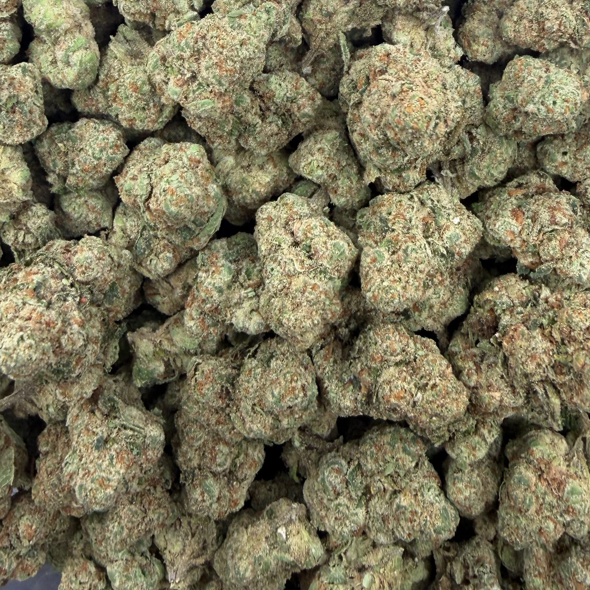 Unicorn Glitter bulk THCA flower — Plain Jane 1 lb