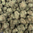 Unicorn Glitter bulk THCA flower — Plain Jane 1 lb