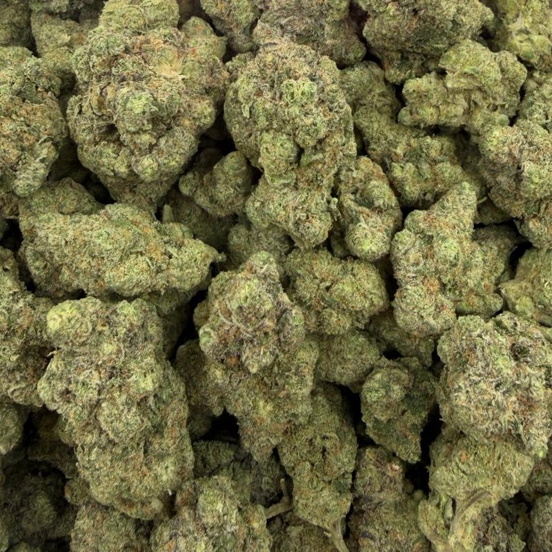 Vapor Mints bulk THCA flower — Plain Jane 1 lb