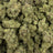 Vapor Mints bulk THCA flower — Plain Jane 1 lb