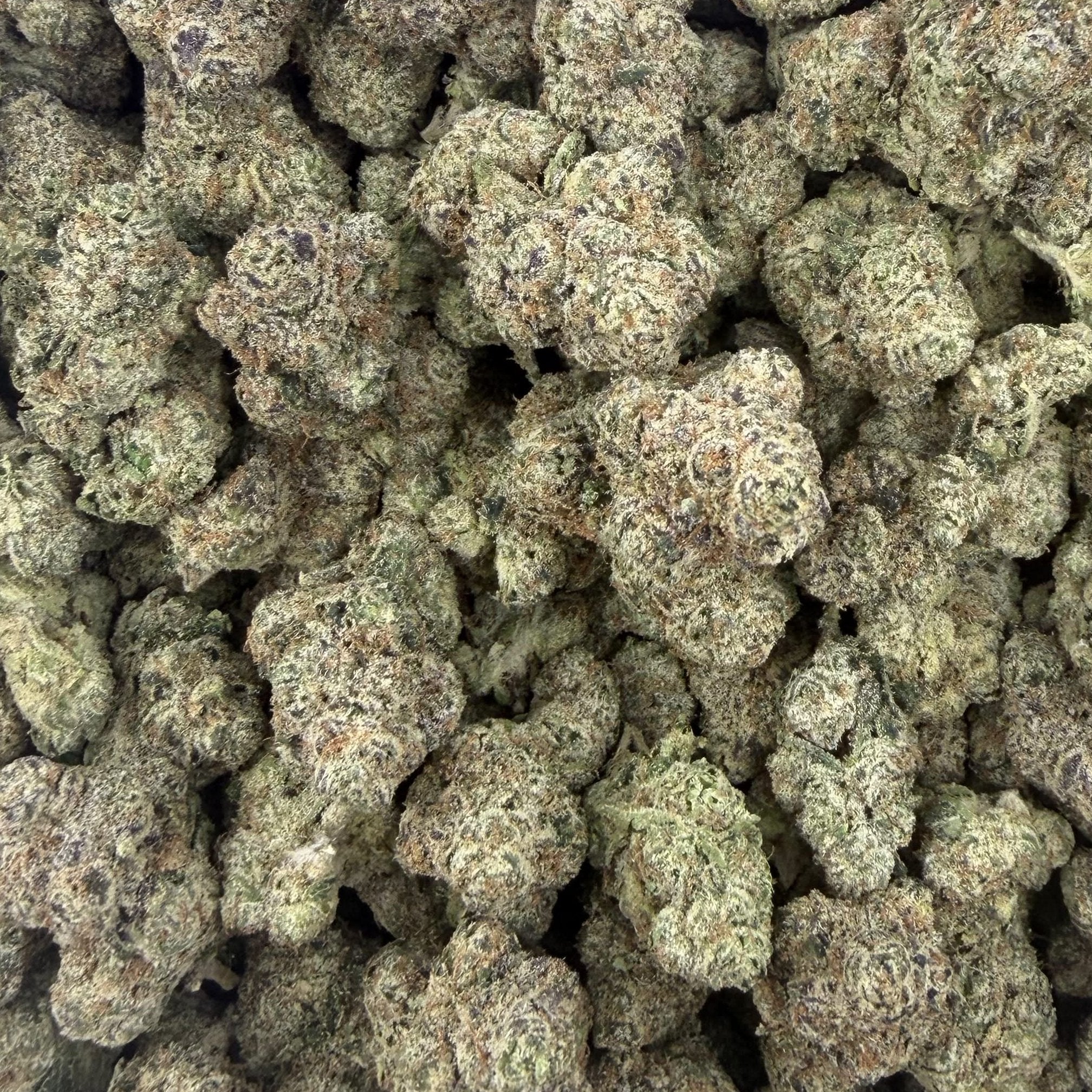 Velvet Berry bulk THCA flower — Plain Jane 1 lb