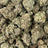 Velvet Berry bulk THCA flower — Plain Jane 1 lb