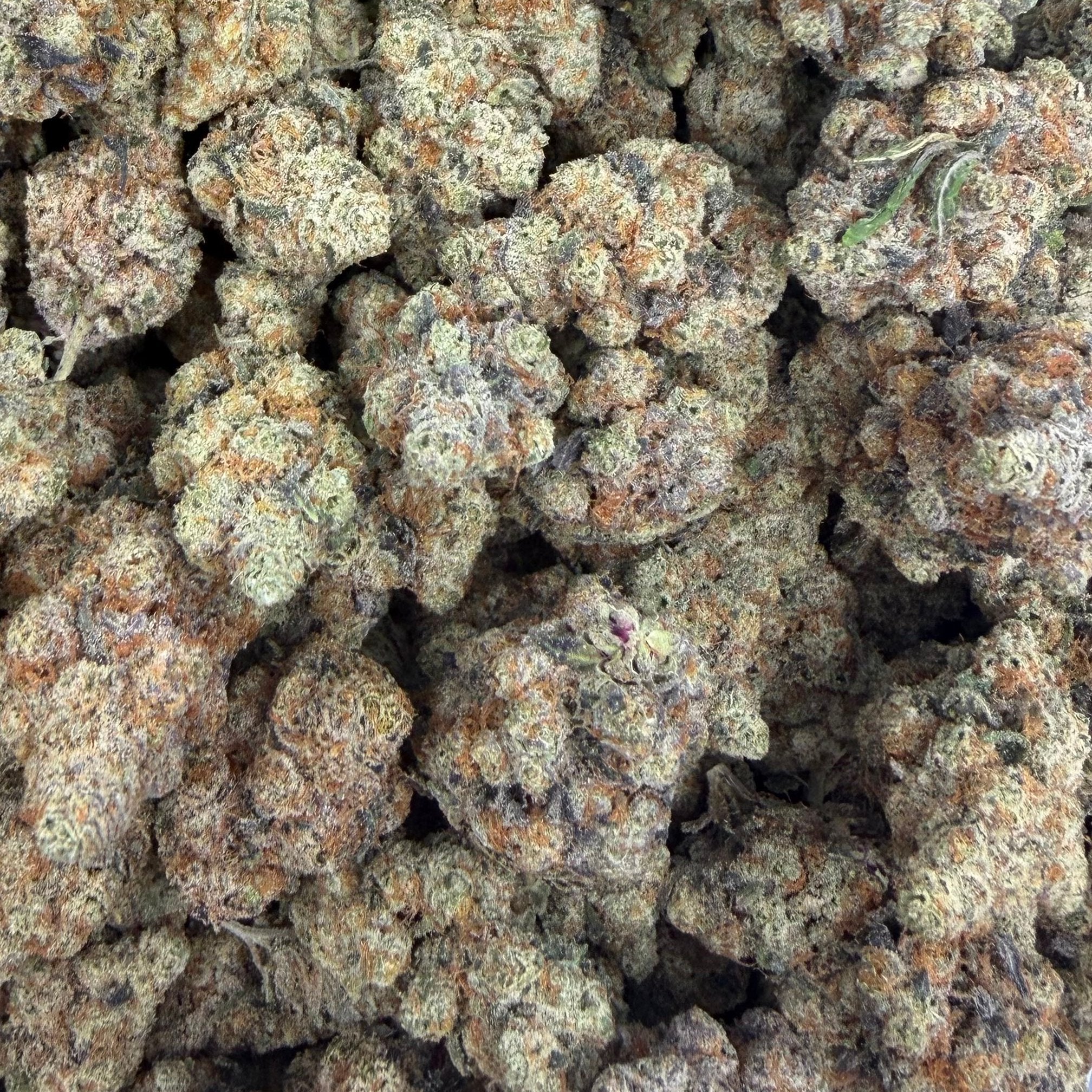 Watermelon Gelato bulk THCA flower — Plain Jane 1 lb