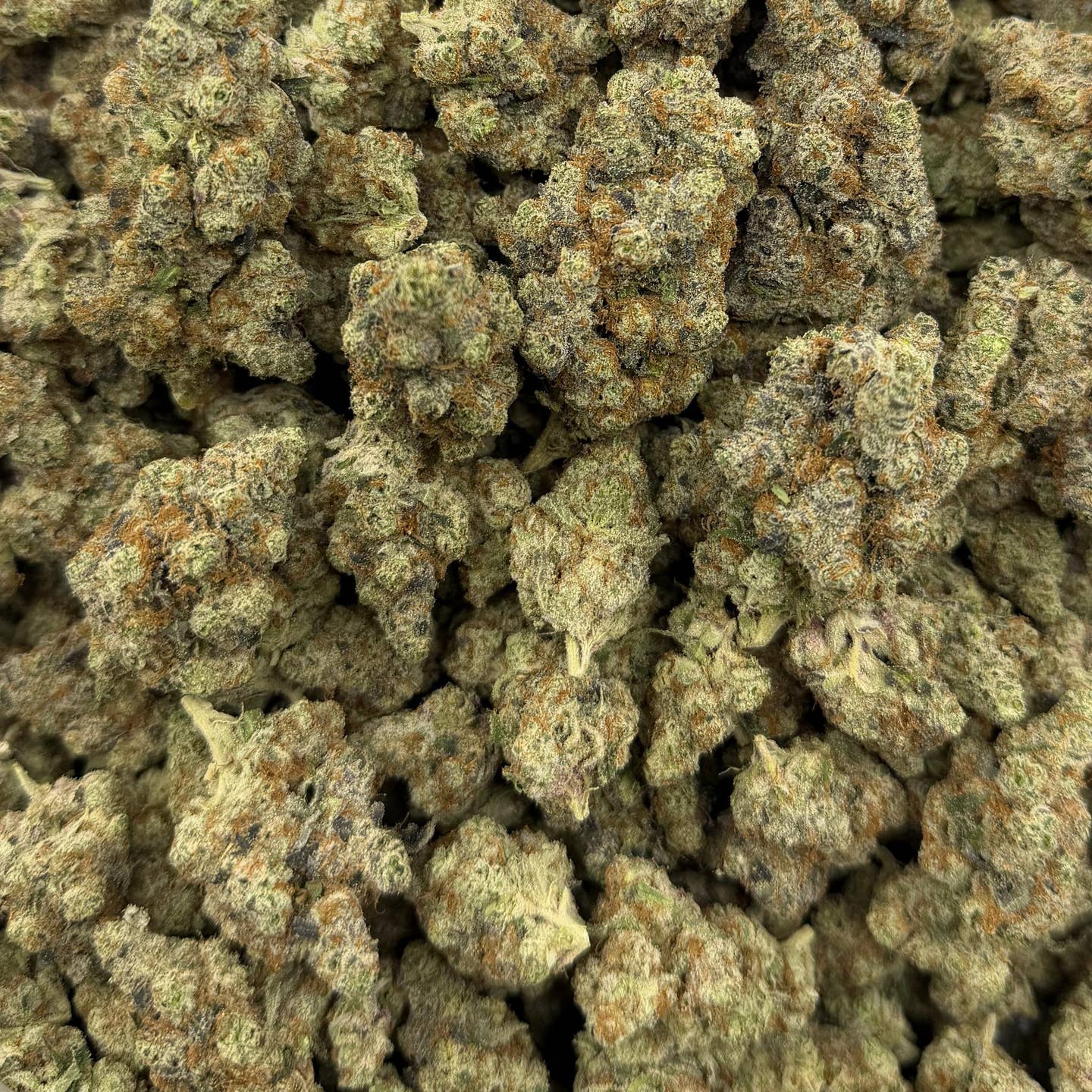 Watermelon Gelato bulk THCA flower — Plain Jane 1 lb