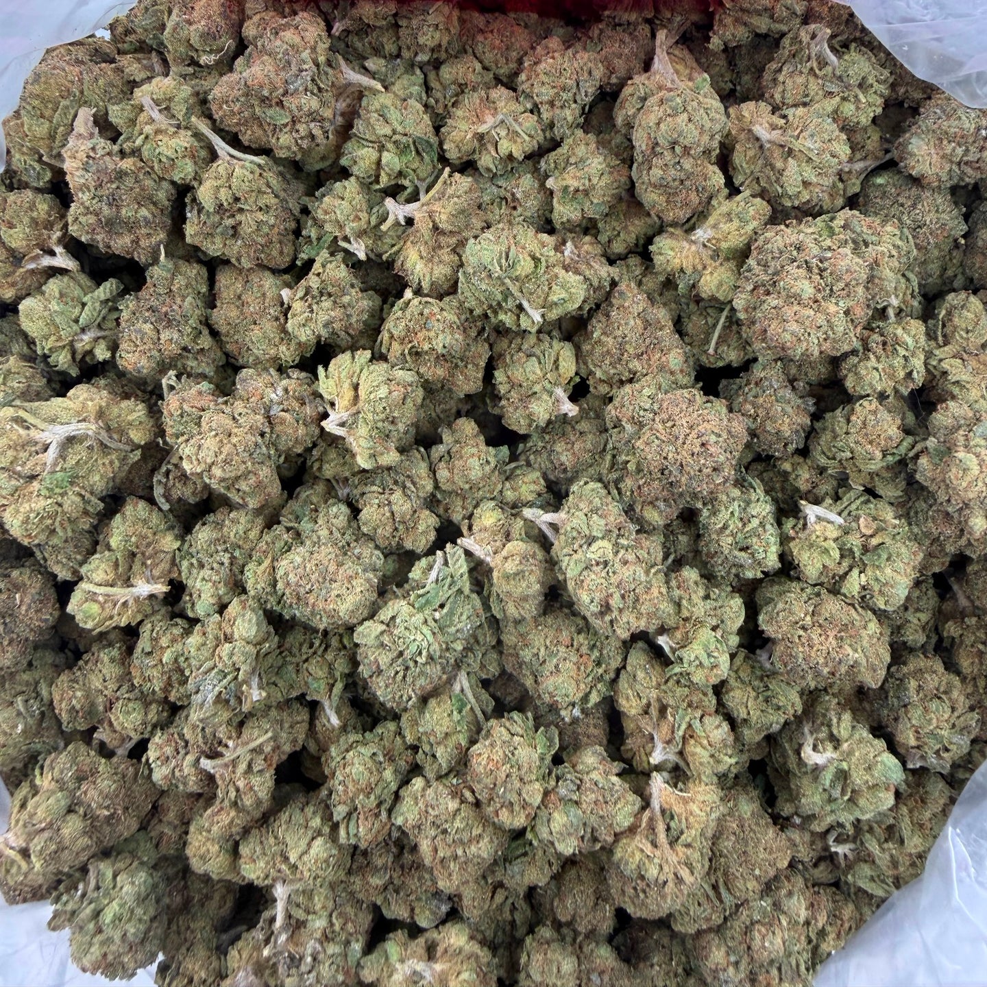 Wedding Punch bulk THCA flower — Plain Jane 1 lb