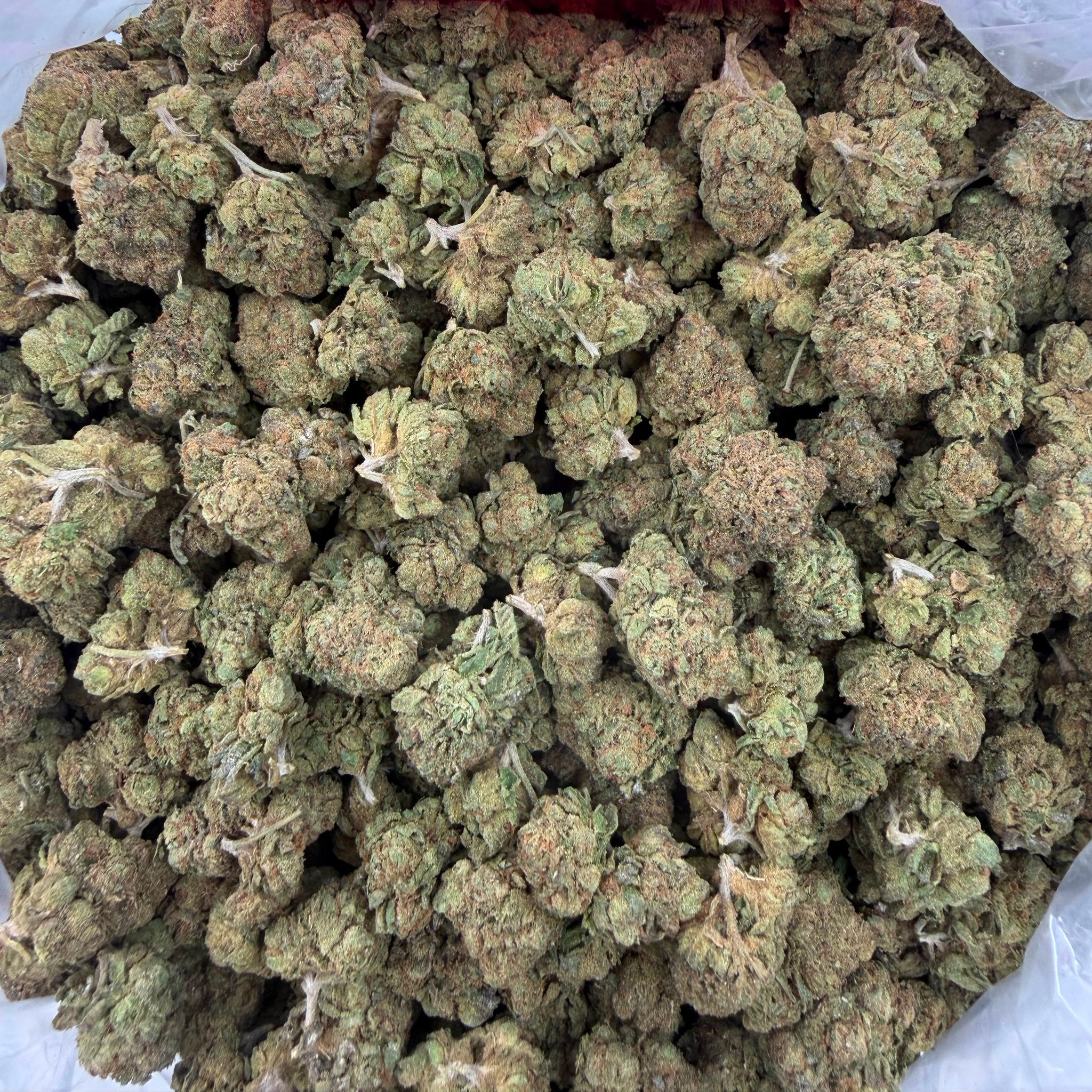Wedding Punch bulk THCA flower — Plain Jane 1 lb