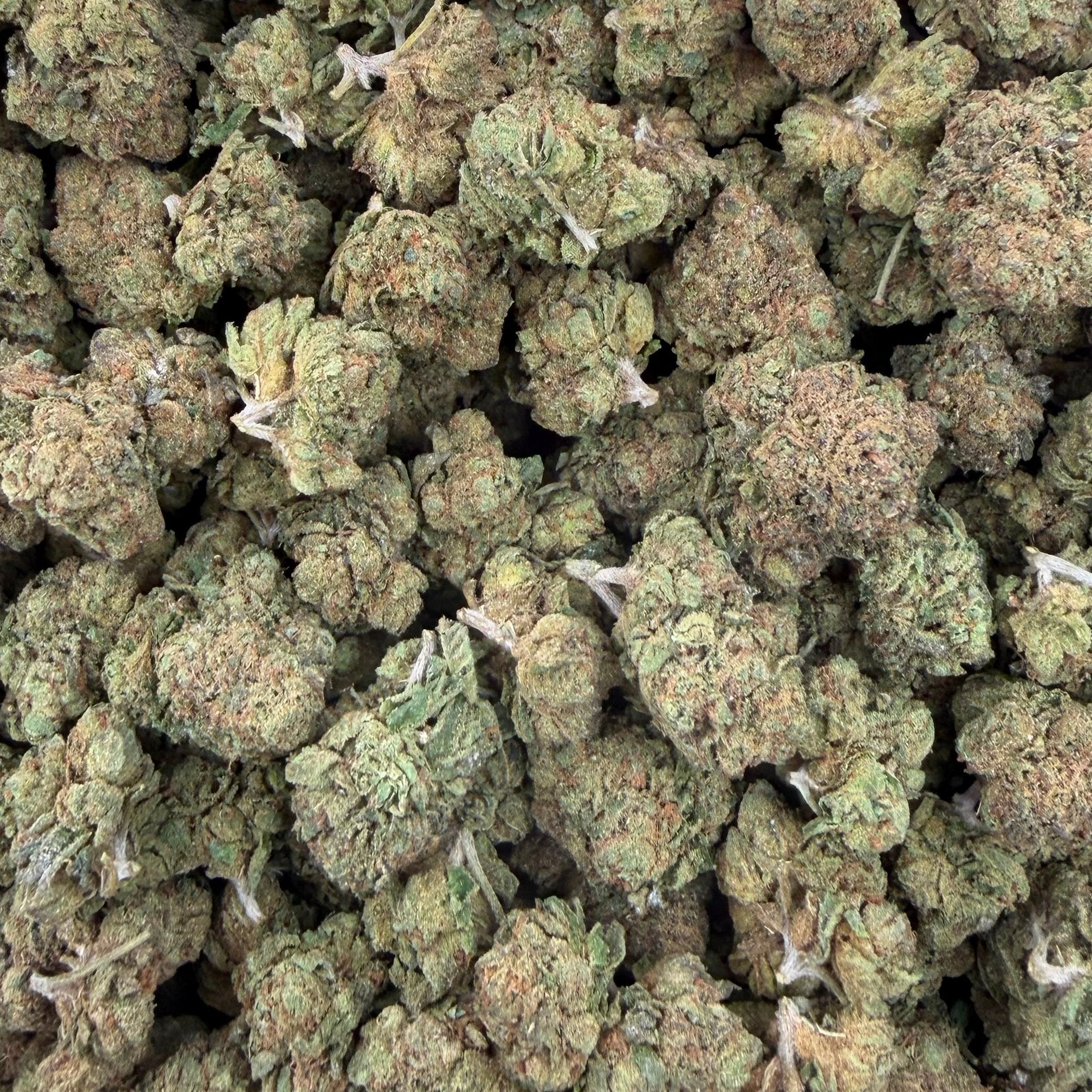 Wedding Punch bulk THCA flower — Plain Jane 1 lb